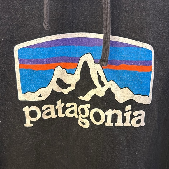 Patagonia Men’s Hooded Sweatshirt Black Size Medium - Picture 2 of 4